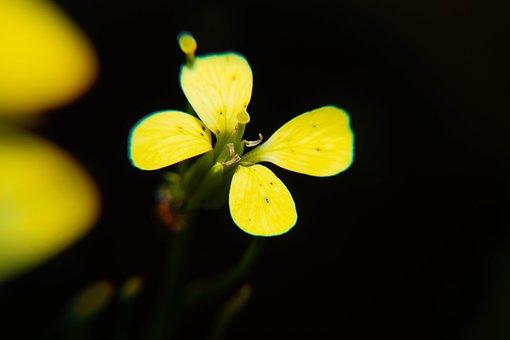 �^���˷��������_������W������