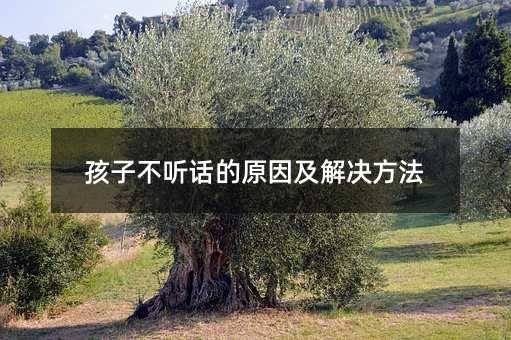 孩子不聽話的原因及解決方法