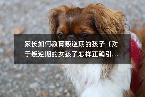 家長如何教育叛逆期的孩子(對于叛逆期的女孩子怎樣正確引導(dǎo))