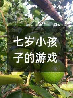 �ߚqС���ӵ��Α�