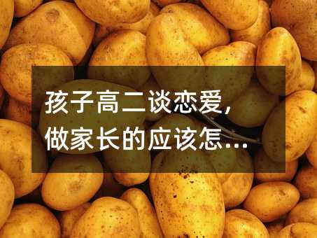 孩子高二談戀愛,做家長(zhǎng)的應(yīng)該怎么做