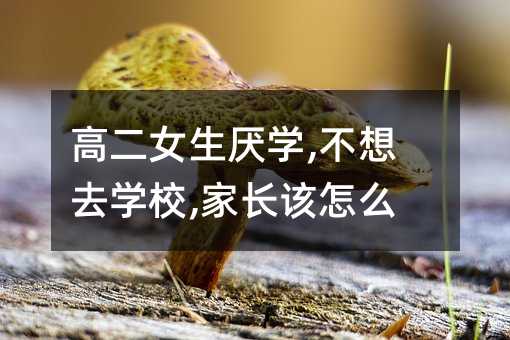 �߶�Ů�����W,����ȥ�WУ,���Lԓ��ô��