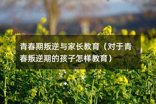 青春期叛逆與家長教育(對于青春叛逆期的孩子怎樣教育)