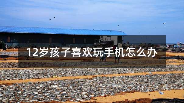 12�q����ϲ�g���֙C��ô�k