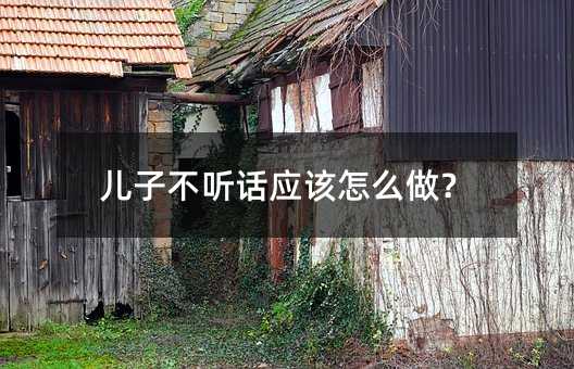 兒子不聽話應該怎么做?
