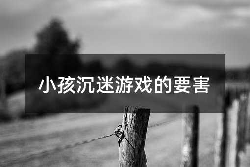 С�������Α��Ҫ��