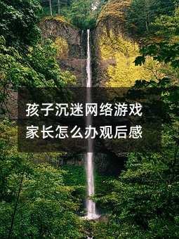 孩子沉迷網絡游戲家長怎么辦觀后感