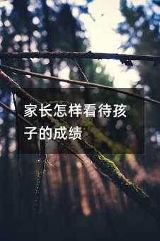 家長怎樣看待孩子的成績