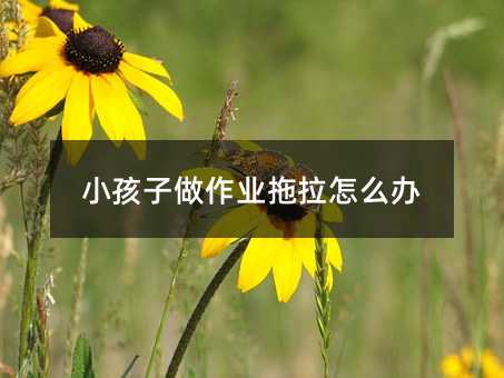 С���������I(y��)������ô�k