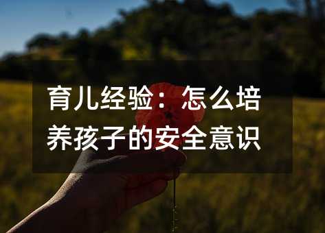 育兒經(jīng)驗:怎么培養(yǎng)孩子的安全意識