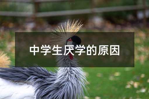 �ЌW�����W��ԭ��