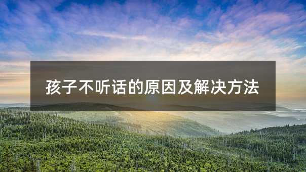 ���Ӳ� Ԓ��ԭ�򼰽�Q����