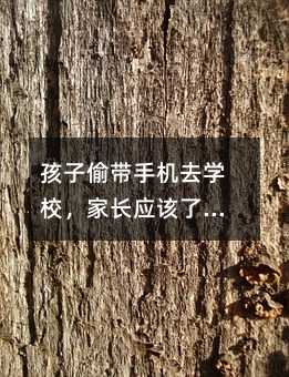 ����͵���֙C(j��)ȥ�W(xu��)У�����L(zh��ng)��(y��ng)ԓ�˽⺢�ӵ��������󣬽o������P(gu��n)ע��֧��