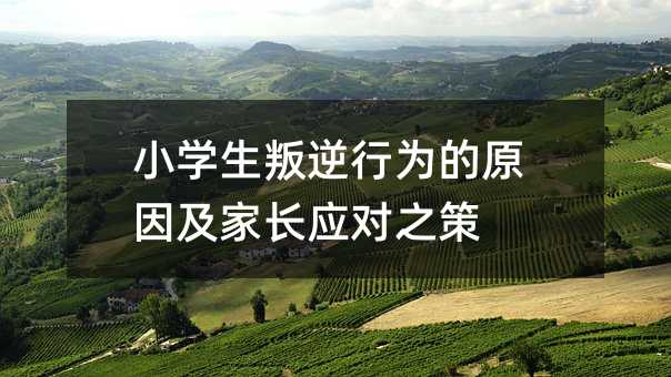 С�W(xu��)�������О��ԭ�򼰼��L��(y��ng)��֮��