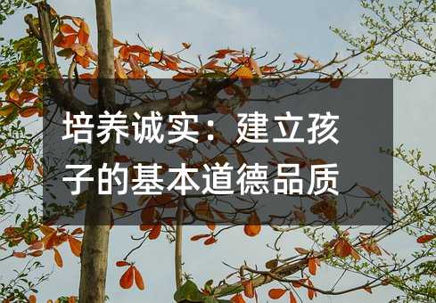 ���B�\�����������ӵĻ�������Ʒ�|