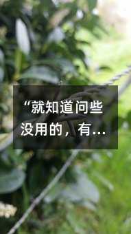 ����֪����Щ�]�õģ�������ֱ�ӆ��ώ�ȥ�������뱻���ӑ������ĸ�ĸֻ���@4�����}����