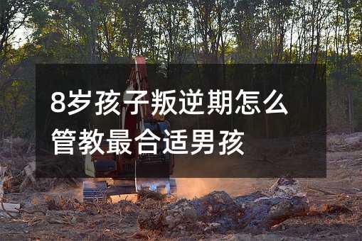 8歲孩子叛逆期怎么管教最合適男孩