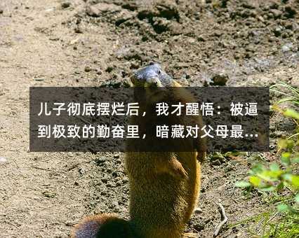 ���ӏصה[�������Ҳ����򣺱��Ƶ��O�µ��ڊ^�������،�(du��)��ĸ���Ĉ�(b��o)��(f��)����