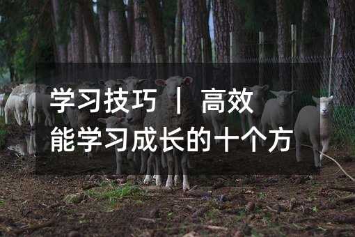 學習技巧 | 高效能學習成長的十個方法