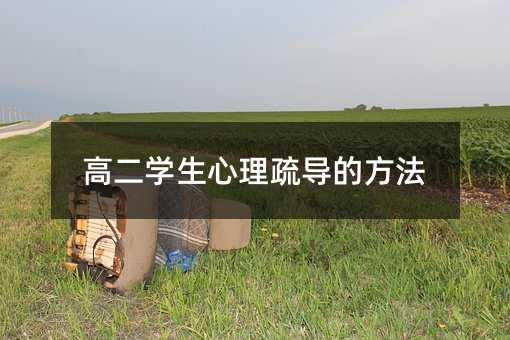 高二學生心理疏導的方法
