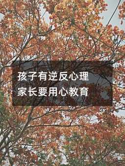 �������淴���� ���L(zh��ng)Ҫ���Ľ���