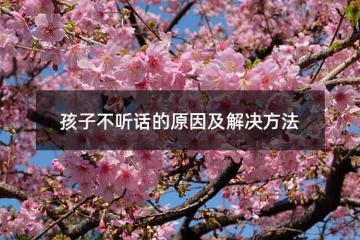 ���Ӳ� Ԓ��ԭ�򼰽�Q����