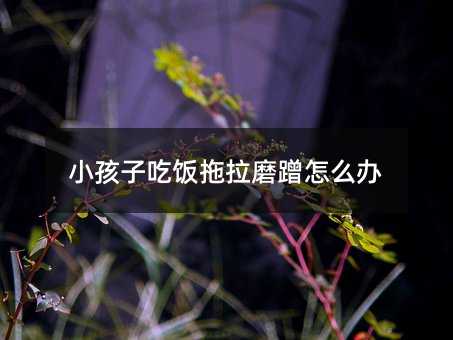 С���ӳ������ĥ����ô�k