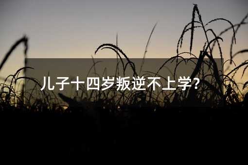 ����ʮ�Ěq���治�όW(xu��)��