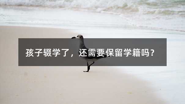 �����z�W�ˣ�߀��Ҫ����W���᣿