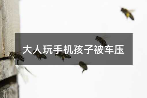 �������֙C���ӱ�܇��