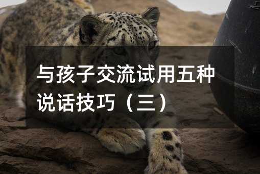 �c���ӽ���ԇ����N�fԒ���ɣ�����