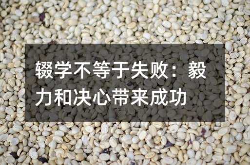 �z�W������ʧ���������͛Q�Ď����ɹ�