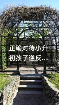 ���_����С���������淴�����ķ���