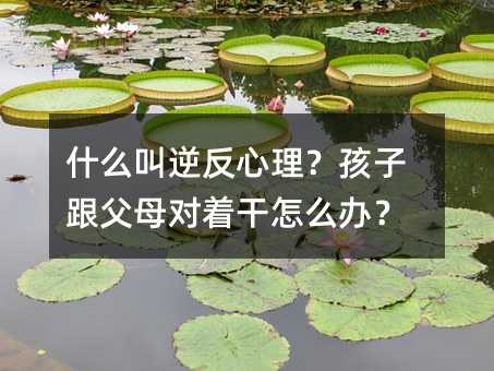什么叫逆反心理?孩子跟父母對著干怎么辦?