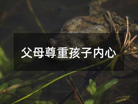 ��ĸ���غ��Ӄ���