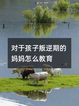 ��(du��)�ں��������ڵċ�����ô����