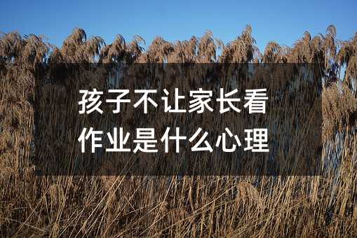 ���Ӳ�׌���L�����I��ʲô����