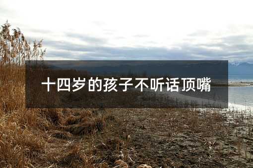 ʮ�Ěq�ĺ��Ӳ� Ԓ���