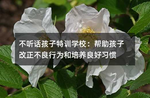 不聽話孩子特訓學校:幫助孩子改正不良行為和培養良好習慣