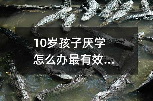 10�q���Ӆ��W��ô�k����Ч�ķ���