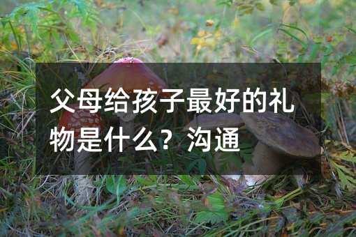 父母給孩子最好的禮物是什么?溝通