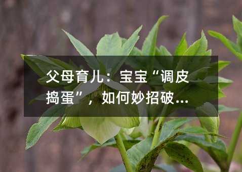父母育兒:寶寶“調(diào)皮搗蛋”,如何妙招破解?