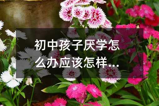 初中孩子厭學怎么辦應該怎樣開導