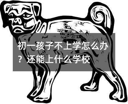 ��һ���Ӳ��όW��ô�k��߀����ʲô�WУ