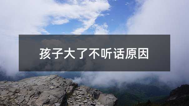 ���Ӵ��˲� Ԓԭ��