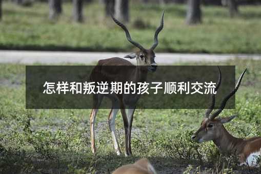 ���Ӻ������ڵĺ����������