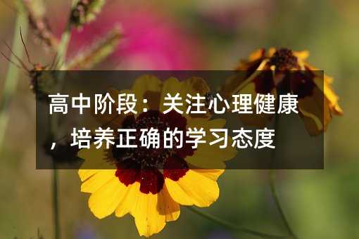 �����A�Σ��P(gu��n)ע�������������B(y��ng)���_�ČW(xu��)��(x��)�B(t��i)��