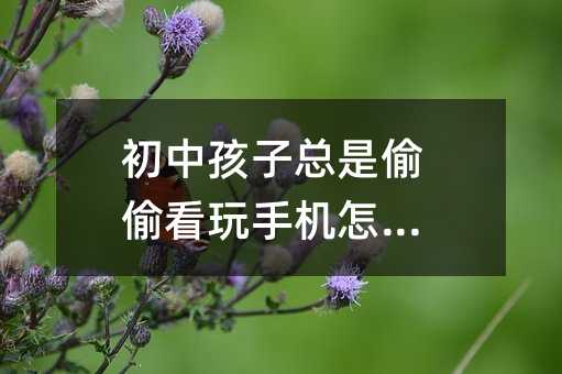 初中孩子總是偷偷看玩手機怎么辦