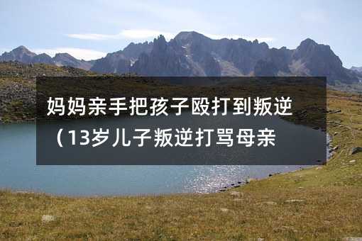 �����H�ְѺ��Ӛ������棨13�q����������Rĸ�H��