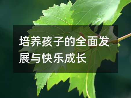 ���B���ӵ�ȫ��lչ�c�옷���L